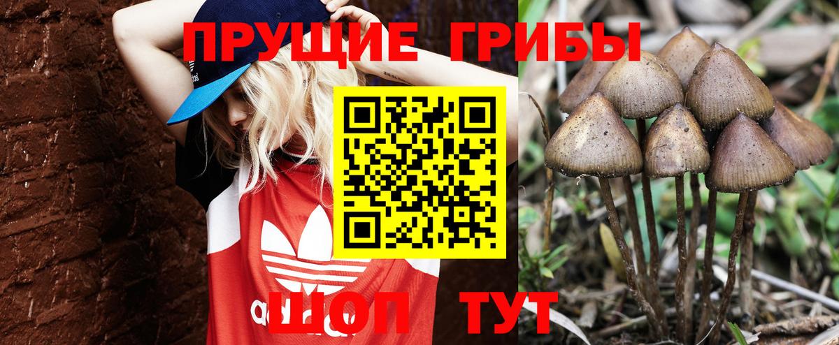 Псилоцибиновые грибы Magic Shrooms Санкт-Петербург