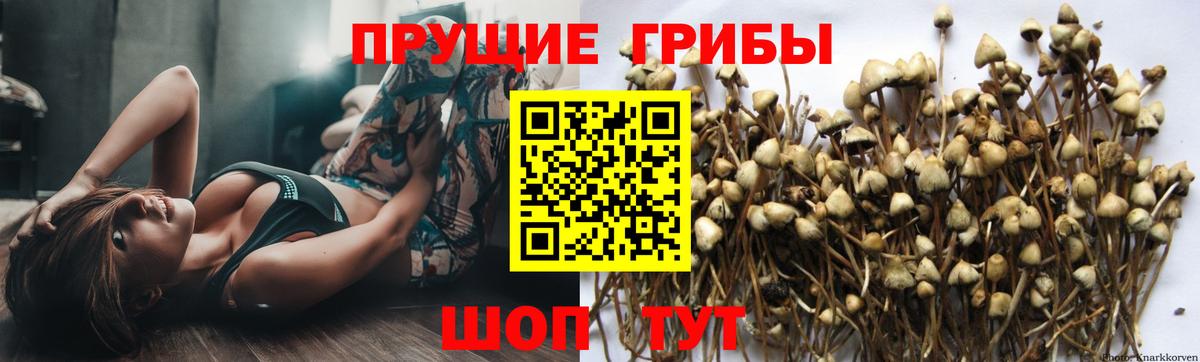Галлюциногенные грибы Magic Shrooms  закладки  Санкт-Петербург  Вход с VPN 